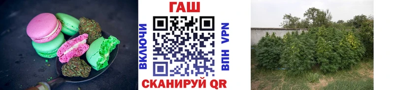 Canna-Cookies конопля shop наркотические препараты Луга