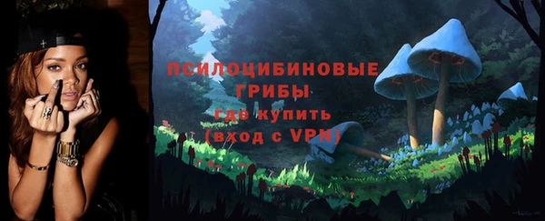 экстази Няндома