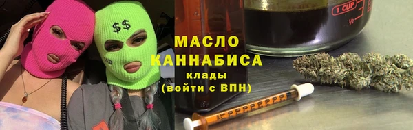 гашик Новозыбков