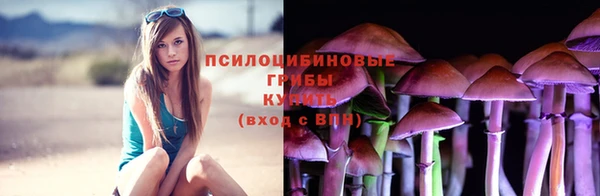 экстази Няндома