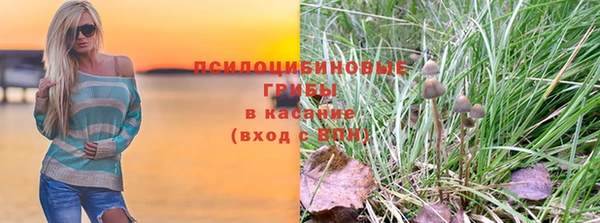 экстази Няндома