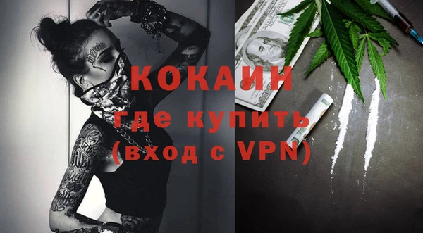 гашик Новозыбков
