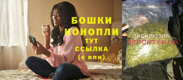 гашик Новозыбков