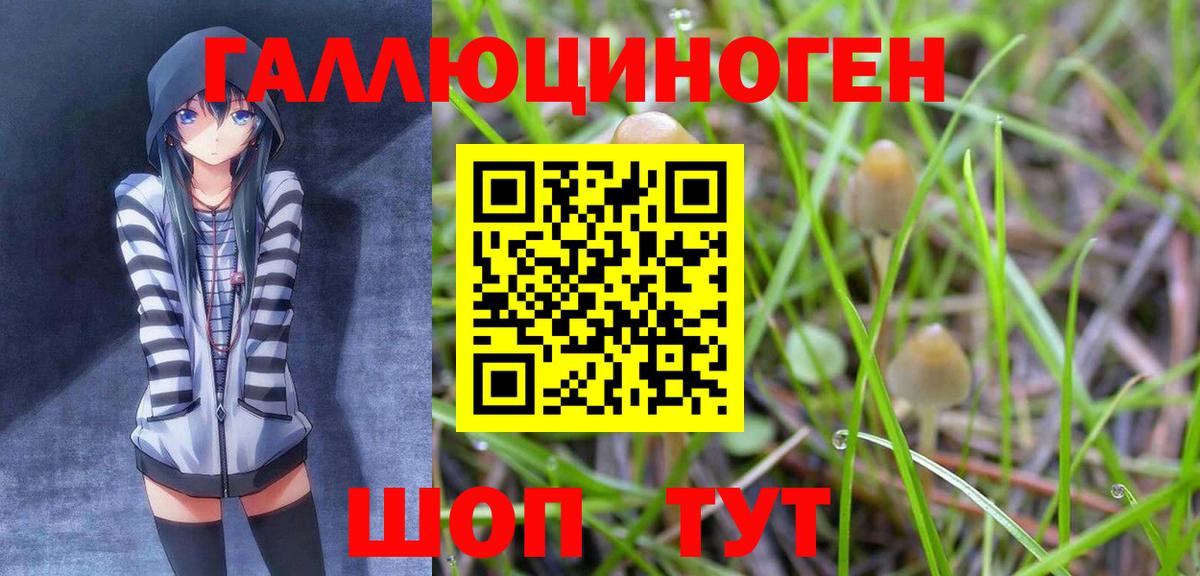 Луга  Псилоцибиновые грибы Cubensis  Вход с VPN 